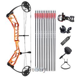 19-70lbs Archery Compound Bow Kit Hunting Carbon Arrows Sight Target Topoint