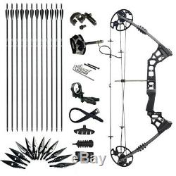 19-70lbs Archery Compound Bow Kits Target Hunting Set LH/RH Carbon Arrows Sets