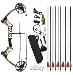 19-70lbs Compound Bow kit & 12pcs Fiberglass Arrows Hunting Target Practice RH
