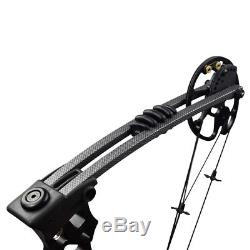20-70lbs Archery Compound Bow Set Hunting Right Hand 12 Pure Carbon Arrow Heads