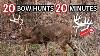 20 Bow Hunts 20 Minutes