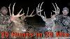 20 Hunts In 20 Minutes Bowhunting Compilation