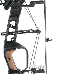 21.5lbs-60lbs Compound Bow Set Steel Ball Arrows 330fps Archery Hunting Target