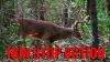 25 Kills In 20 Minutes Ultimate Deer Hunting Compilation