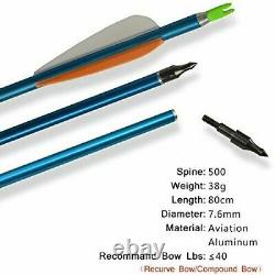 30-50lb Takedown Recurve Bow Archery Hunting Bow and Arrow Set Adult Target