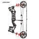 30-60lbs Compound Bow Steel Ball Fishing Hunting Right Left Hand Archery Target