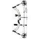 35-70lb Archery Compound Bow Set RH Adjustable Outdoor Hunting Practicing Sports