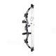 50-60 Pounds M107 Compound Bow Aluminum Handle and Glass Fiber Bow Hunting