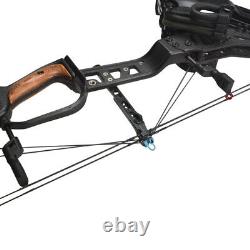 Archery Compound Bow 21.5-80lbs Catapult Dual-use Steel Ball Hunting Shooting RH