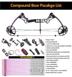 Archery Compound Bow Arrows Set Hunting Target 19-70lbs Right Handed Stabilizer