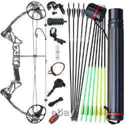 Archery Compound Bow Arrows Set Target 19-70lbs Right Handed Stabilizer Hunting