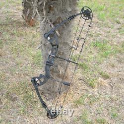 Archery Compound Bow Carbon Arrow Adjustable 30-55lbs Target Field 310FPS Hunt