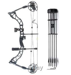Archery Compound Bow Kit 45-70lbs, Hunting Fiberglass Arrows, Quiver, Sight, Rest