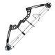 Archery Compound Bow Set 30-55lb Pure Carbon Arrows RH Outdoor Target Hunting