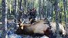 Archery Elk Hunt Montana Stuck N The Rut 142