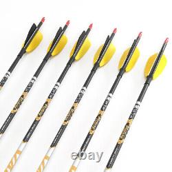 Archery Hunting Carbon Arrows with 3 Inch Turkey Feather 4.2mm Shaft Nocks