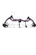 Bear CRUISER Lite Purple Women's Bow with 6 Arrows RH