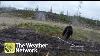 Bear Charges Hunter In Canada Backcountry 1080p