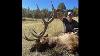 Bogged Down Hunting Elk In Montana Archery Hunting