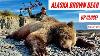 Bowhunting Giants Archery Brown Bear Hunt In Alaska Up Close As Real As It Gets Grizzly Ep 6