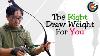 Choosing The Right Draw Weight For Your Purpose Archery