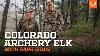 Colorado Archery Elk With Papa Janis On The Hunt With Janis Putelis