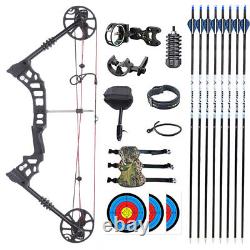 Compound Bow Archery Bow Arrows Set 30-60lb Adjustable Draw Power Target Hunting
