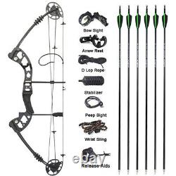 Compound Bow Arrows Set 30-55lbs Fishing Hunting Adjustable Archery Adults Shoot