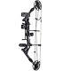 Compound Bow Set 30-70lbs Carbon Arrow Field Archery Target Bow Hunting Shooting