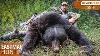 Covered Up In Bears Bow Hunting Giant Black Bears