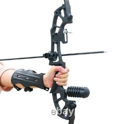D&Q Archery Adult Recurve Bow Set Hunting Target Practice Longbow Right Hand
