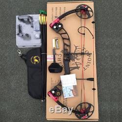 IRQ Archery 20-70Lbs T1 Compound Bow Hunting Right Hand Pro Series Kit Target