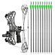 Laser Sight Mini Compound Bow Set 35lbs Archery Fishing Hunting Right Left Hand