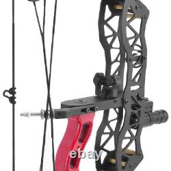 Mini Compound Bow Arrow Set 25lbs Fishing Hunting 16 Archery Right Left Hand