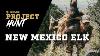 Project Hunt New Mexico Archery Elk With Shane Zimmerman