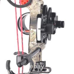 Single Bow Compound Bow Hunting
