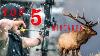 Top 5 Elk Hunting Mistakes
